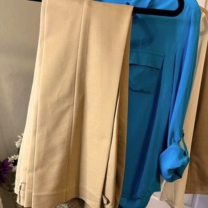 Express Dress pants